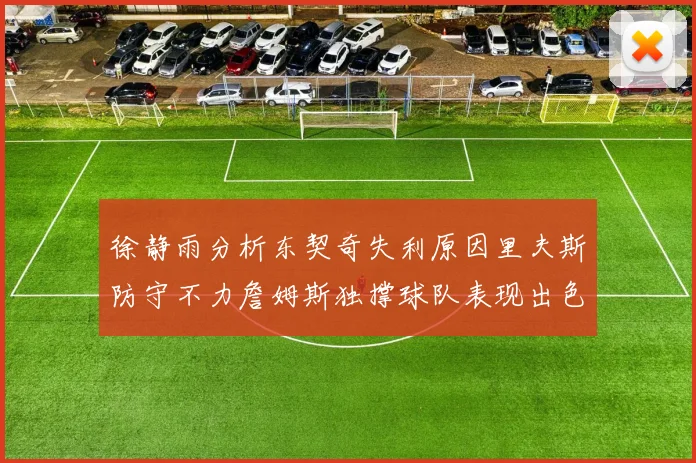 徐静雨分析东契奇失利原因里夫斯防守不力詹姆斯独撑球队表现出色
