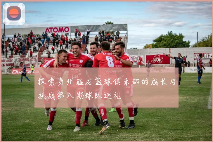 探索贵州猛龙篮球俱乐部的成长与挑战第八期球队巡礼