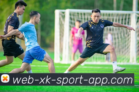 星空体育平台生态图