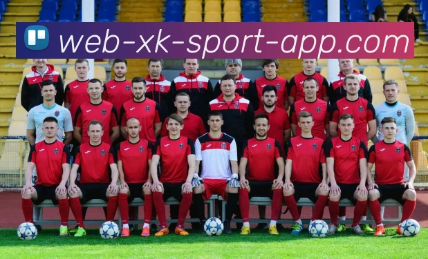 星空体育APP 封面图